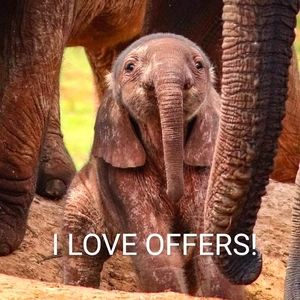 I LOVE OFFERS❤️❤️❤️❤️❤️❤️